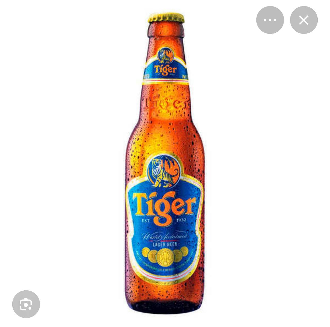 Tiger Bottle Beer